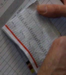 G-P of the alphabetized list of citizens who regularly attend the solidarity SingAlong.