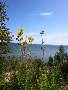 Lake Superior near the mouth of the Bad River which would bear the brunt of toxic runoff from massive tailing piles from an open pit mine.