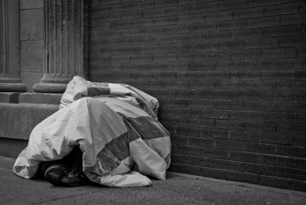 The Nap by Wendi Kent