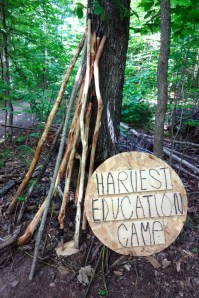 Walking sticks carved by Melvin Gaspar ready to use by visitors walking into the hills.