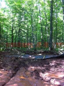 Eye witnesses report Ross Peterson bulldozed over another silt fence near drill site #8.