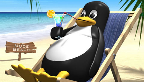 Penguin-On-The-Beach