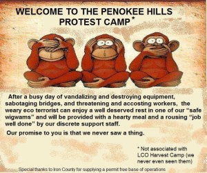 Screen shot of Gary Glonek's racist cartoons posted on Facebook.