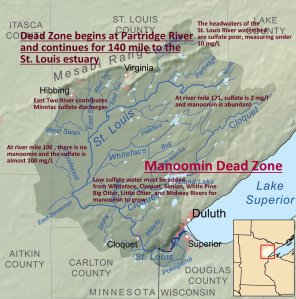 Wild rice dead zone on the St. Louis river as the result of sulfates resulting from taconite mining upriver.