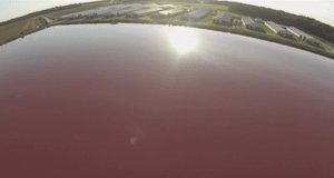 Giant open-air cesspool from a CAFO featured in Mark Devries' drone video of a factory farm.