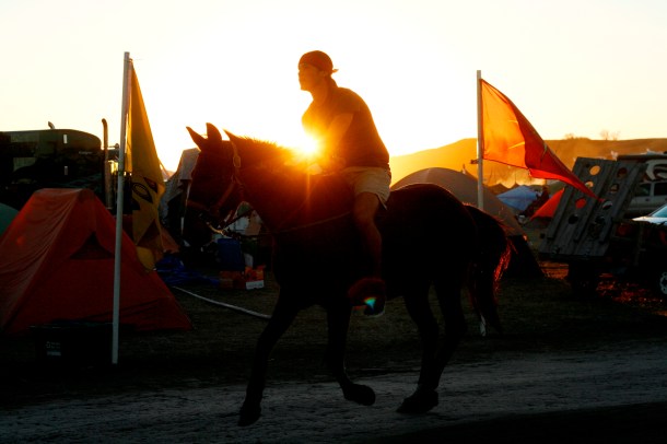 Horse nation 11.13.2016